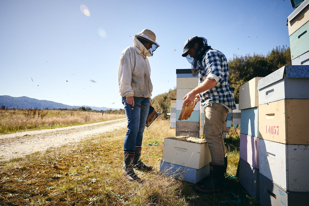 Is Manuka Honey Worth the Price? Here’s Why It Costs More