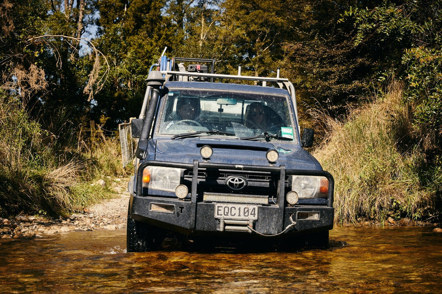 Manuka Honey USA – Where to Find Authentic New Zealand Manuka