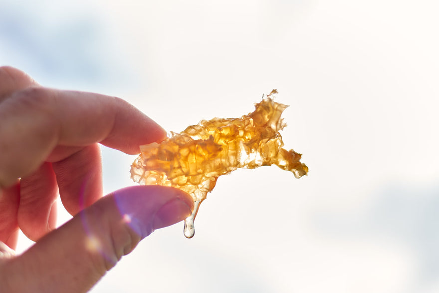 The Natural Glow: Manuka Honey Mask and Face Wash